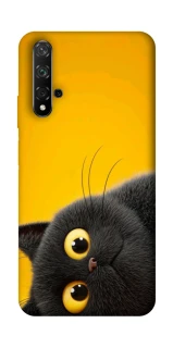Чохол на Huawei Honor 20 / Nova 5T This is Cat фото 1 з 1