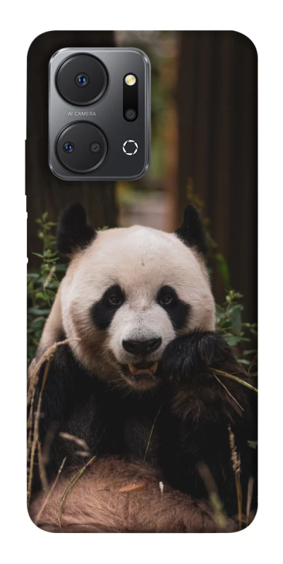 Чохол на Huawei Honor X7a Панда фото 1 з 1