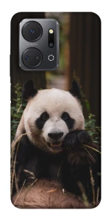 Чохол на Huawei Honor X7a Панда фото 1 з 1