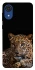 Чехол на Samsung Galaxy A03 Core Leopard v4 фото 1 Чехол на Samsung Galaxy A03 Core Leopard v4 фото 1 из 1