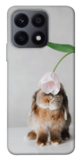 Чохол на Huawei Honor X8a Bunny фото 1 з 1