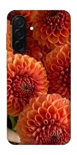 Чохол на Samsung Galaxy A26 5G Flower1 фото 1 з 1