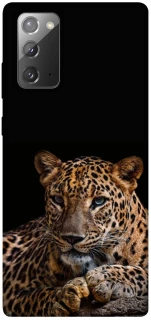 Чехол на Samsung Galaxy Note 20 Leopard v4 фото 1 из 1