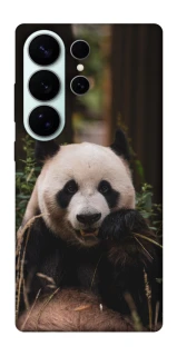 Чохол на Samsung Galaxy S26 Ultra Панда фото 1 з 1