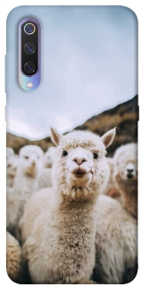 Чохол на Xiaomi Mi 9 Лама фото 1 з 1