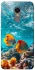 Чохол на Xiaomi Redmi 5 Plus / Redmi Note 5 (Single Camera) Coral fish фото 1 з 1