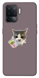 Чохол на Oppo Reno 5 Lite cat matcha фото 1 з 1