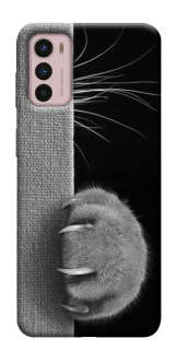 Чохол на Motorola Moto G42 Spy Cat фото 1 з 1