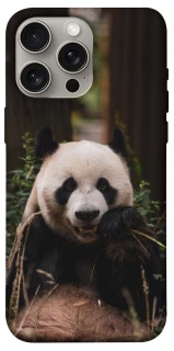 Чехол на Apple iPhone 15 Pro Max (6.7") Панда фото 1 из 1
