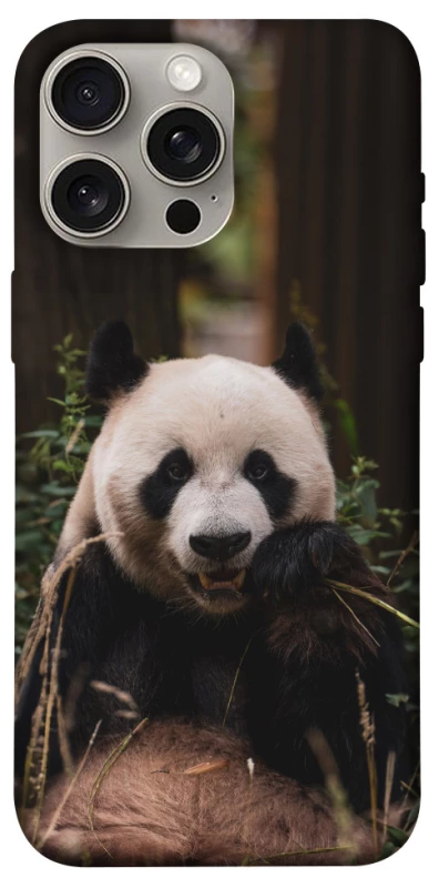 Чехол Панда фото 1 из 1