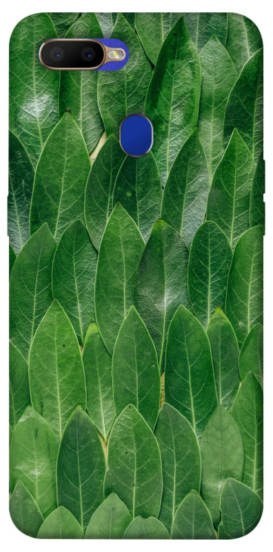 Чехол на Oppo A5s Листья фото 1 из 1
