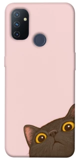 Чехол на OnePlus Nord N100 Peeping cat фото 1 из 1