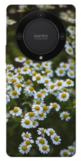 Чехол на Huawei Magic5 Lite Ромашки v13 фото 1 из 1