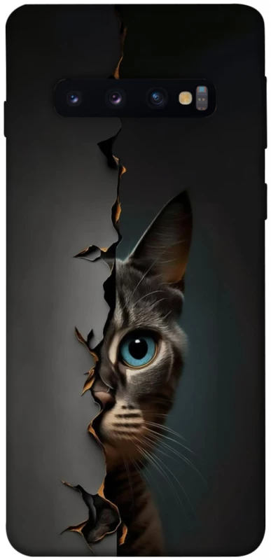 Чехол на Samsung Galaxy S10 Кот-подглядыватель v2 фото 1 из 1