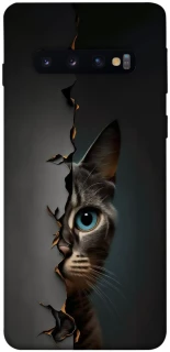 Чехол на Samsung Galaxy S10 Кот-подглядыватель v2 фото 1 из 1