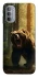 Чохол на Motorola Moto G31 Bear V3 фото 1 з 1