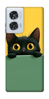 Чехол на Motorola Edge 50 Fusion Black cat v2 фото 1 из 1