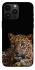 Чохол на Apple iPhone 14 Pro Max (6.7") Leopard v4 фото 1 з 1