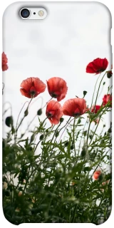 Чохол на Apple iPhone 6/6s plus (5.5") Поле маків фото 1 з 1
