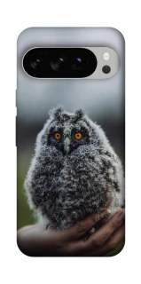 Чехол на Google Pixel 10 Pro Совёнок фото 1 из 1