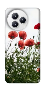 Чохол на Xiaomi Civi 5 Pro Поле маків фото 1 з 1