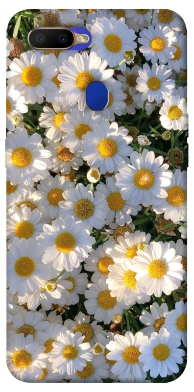 Чохол на Oppo A5s Поле ромашок фото 1 з 1