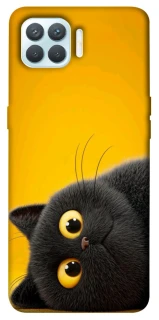 Чохол на Oppo F17 Pro This is Cat фото 1 з 1