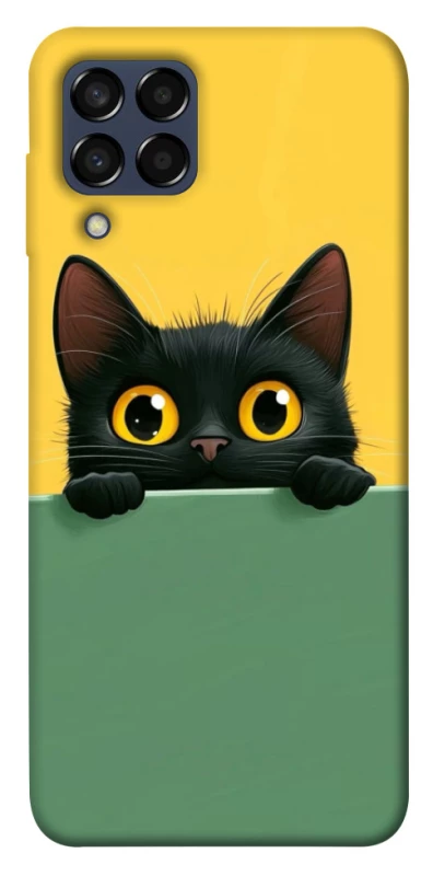 Чохол на Samsung Galaxy M33 5G Black cat v2 фото 1 з 1
