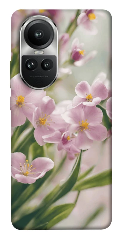 Чохол на Oppo Reno 10 Spring фото 1 з 1