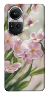 Чохол на Oppo Reno 10 Spring фото 1 з 1