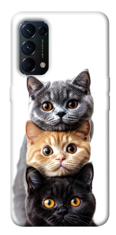 Чохол на Oppo Reno 5 4G Гарні котики фото 1 з 1