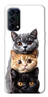 Чохол на Oppo Reno 5 4G Гарні котики фото 1 з 1