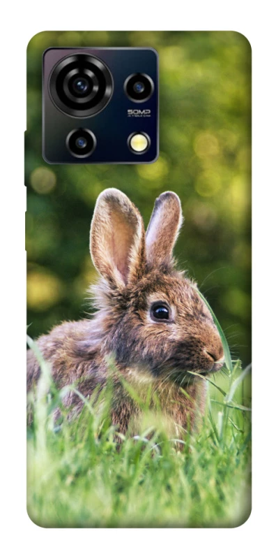 Чехол на ZTE Blade V50 Vita Кролики фото 1 из 1