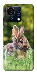 Чехол на ZTE Blade V50 Vita Кролики фото 1 из 1