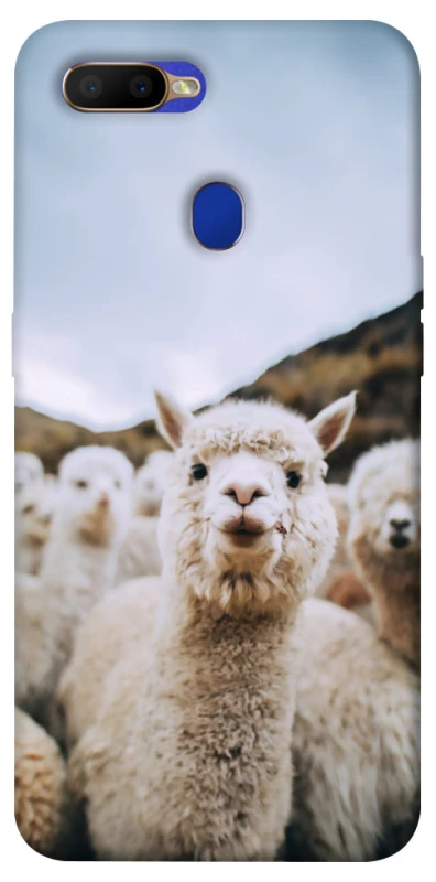 Чохол на Oppo A5s Лама фото 1 з 1