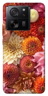 Чехол на Xiaomi 13T Pro Bouquet фото 1 из 1