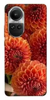Чохол на Oppo Reno 10 Flower1 фото 1 з 1