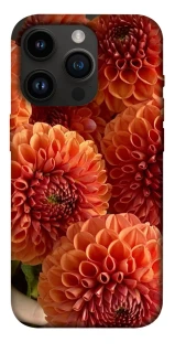 Чохол на Apple iPhone 14 Pro (6.1") Flower1 фото 1 з 1