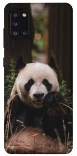 Чохол на Samsung Galaxy A31 Панда фото 1 з 1