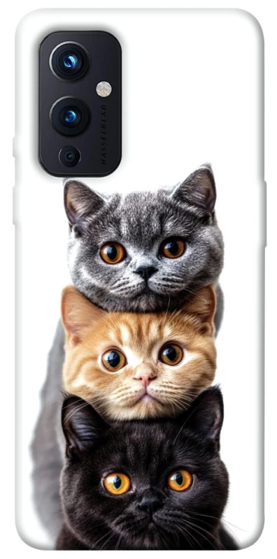 Чехол на OnePlus 9 Красивые котики фото 1 из 1