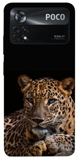 Чехол на Xiaomi Poco X4 Pro 5G Leopard v4 фото 1 из 1