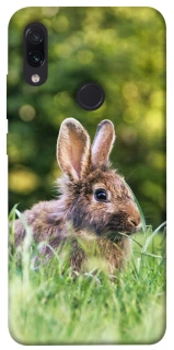 Чехол на Xiaomi Redmi Note 7 / Note 7 Pro / Note 7s Кролики фото 1 из 1