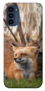 Чехол на Motorola Moto G41 Лиса фото 1 из 1