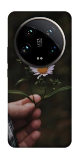 Чехол на Xiaomi 14 Ultra Ромашка v4 фото 1 из 1