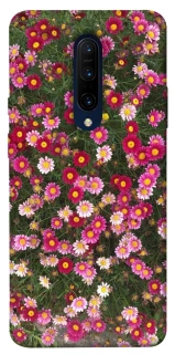 Чохол на OnePlus 7 Pro Flowers v8 фото 1 з 1