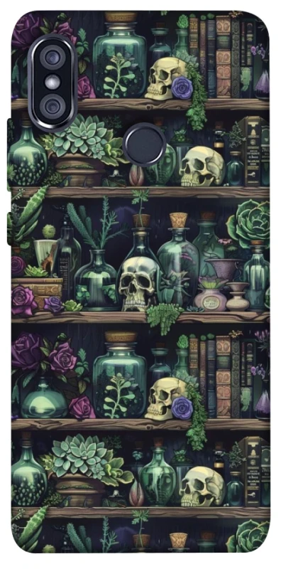 Чехол на Xiaomi Redmi Note 5 Pro / Note 5 (AI Dual Camera) Bookshelf ver.1 фото 1 из 1