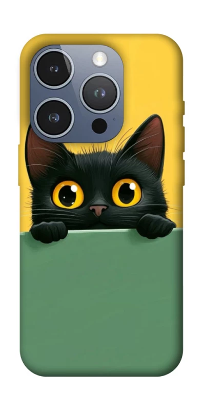 Чохол на Apple iPhone 16 Pro Black cat v2 фото 1 з 1
