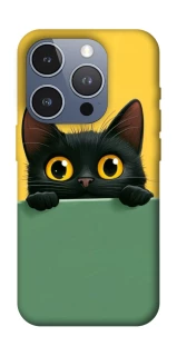 Чохол на Apple iPhone 16 Pro Black cat v2 фото 1 з 1