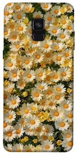 Чохол на Samsung A530 Galaxy A8 (2018) Camomile фото 1 з 1