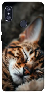 Чохол на Xiaomi Redmi Note 5 Pro / Note 5 (AI Dual Camera) Cat paws фото 1 з 1